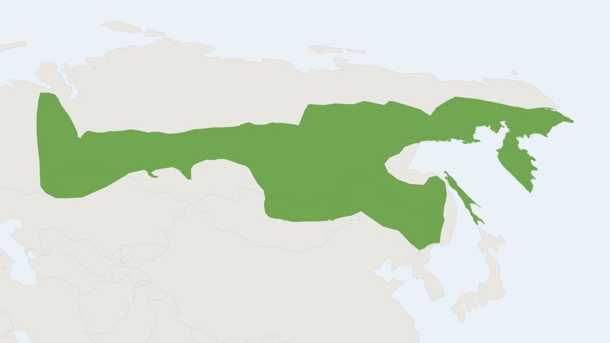 Range map of the Large-toothed Siberian Shrew (Sorex daphaenodon)