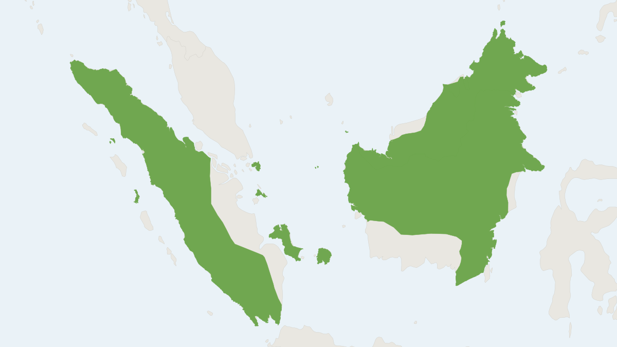 Range map of the Large Treeshrew (Tupaia tana)