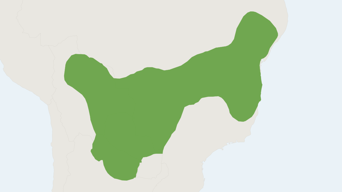 Range map of the Large Vesper Mouse (Calomys callosus) covering Argentina, Bolivia and Brazil