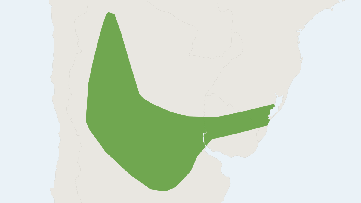 Range map of the Lasiurus salinae (Lasiurus salinae)