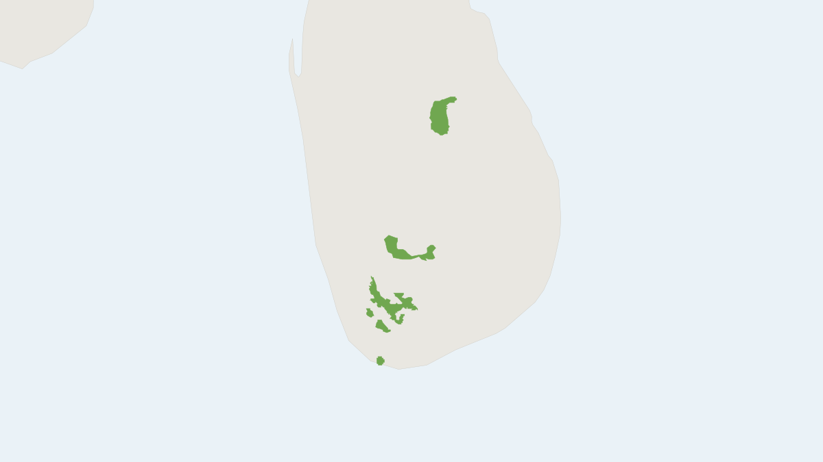 Range map of the Layard's Palm Squirrel (Funambulus layardi)