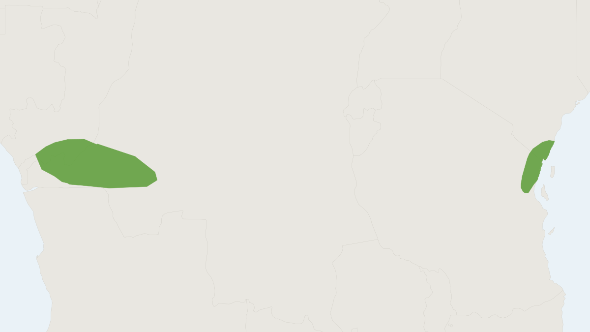 Range map of the Least Long-fingered Bat (Miniopterus minor)