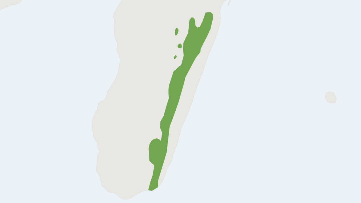 Range map of the Least Shrew Tenrec (Microgale pusilla)