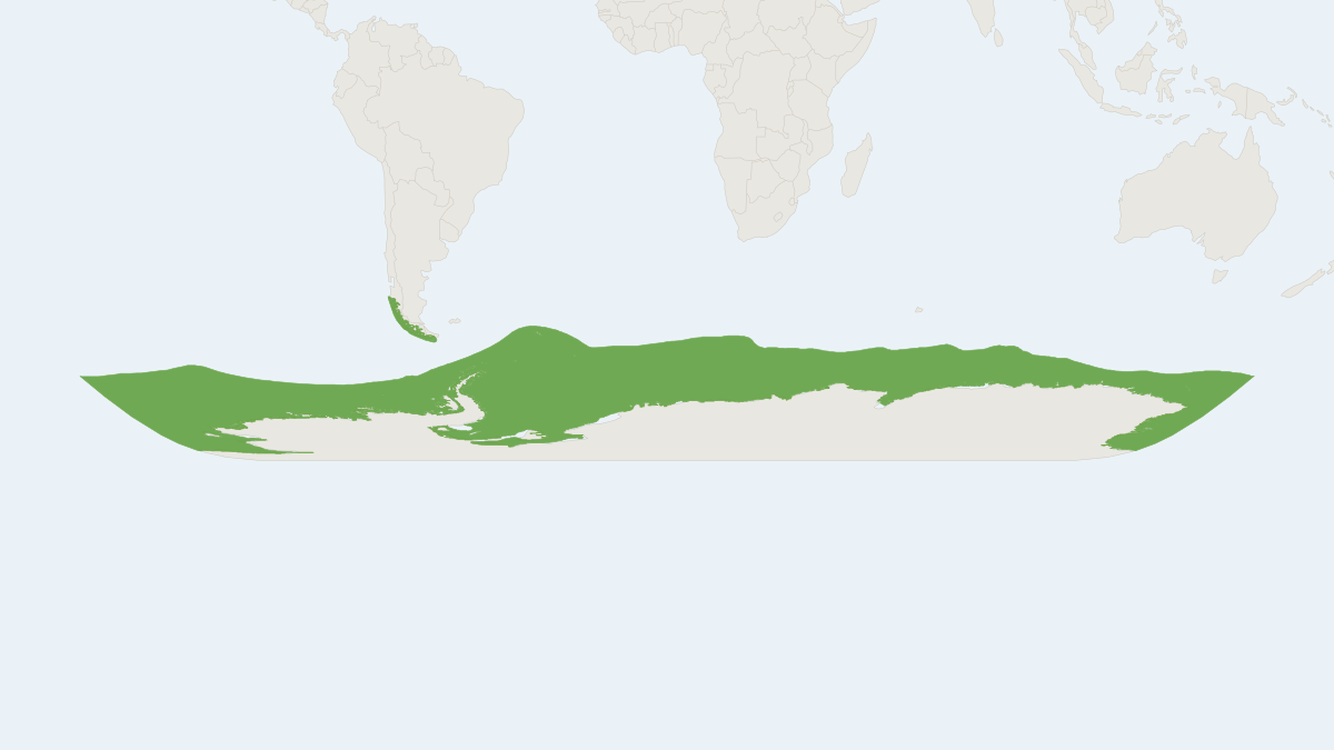 Range map of the Leopard Seal (Hydrurga leptonyx) covering Antarctica, Australia and Falkland Islands