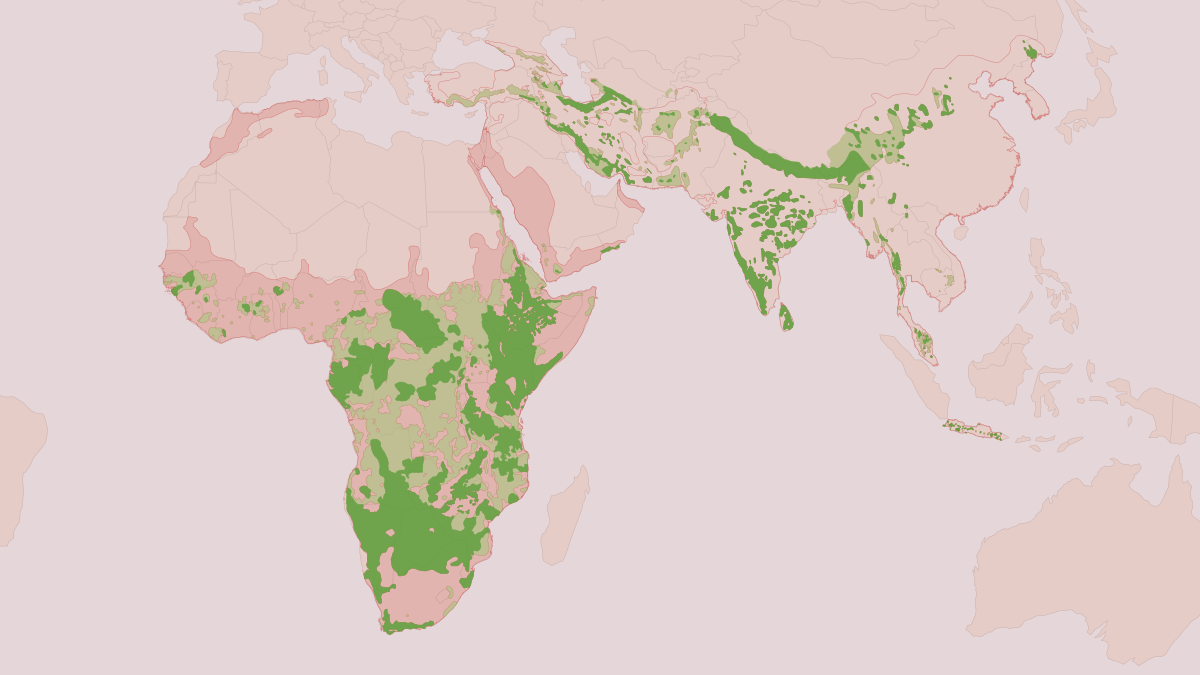 Range map of the Leopard (Panthera pardus) covering China, India and Iran