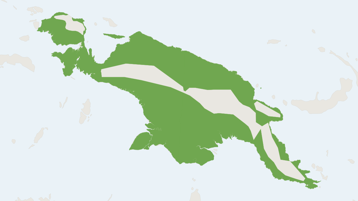Range map of the Lesser Bare-backed Fruit Bat (Dobsonia minor)