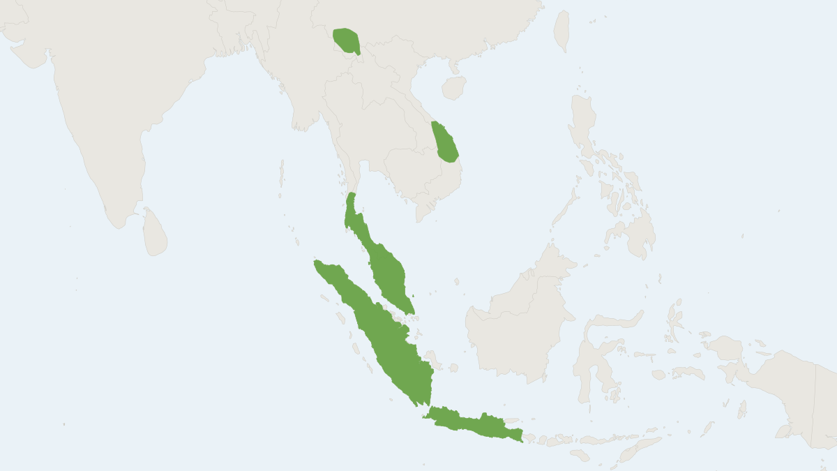 Range map of the Lesser Brown Horseshoe Bat (Rhinolophus stheno)