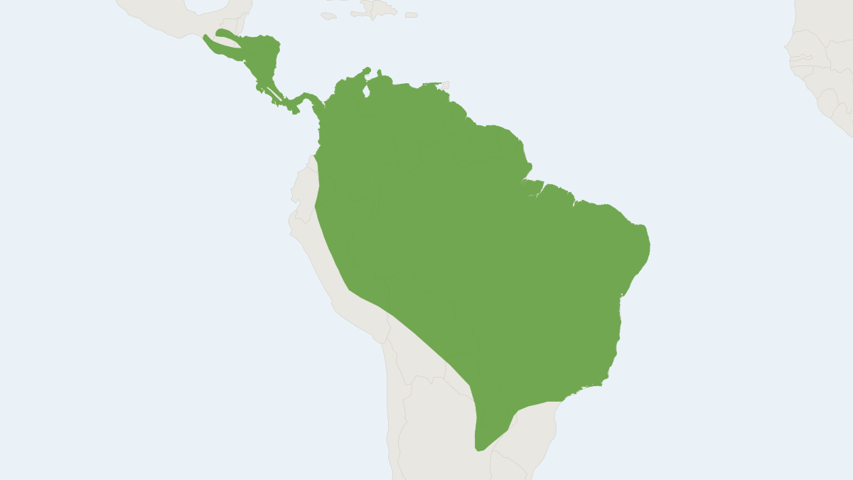 Range map of the Lesser Bulldog Bat (Noctilio albiventris)