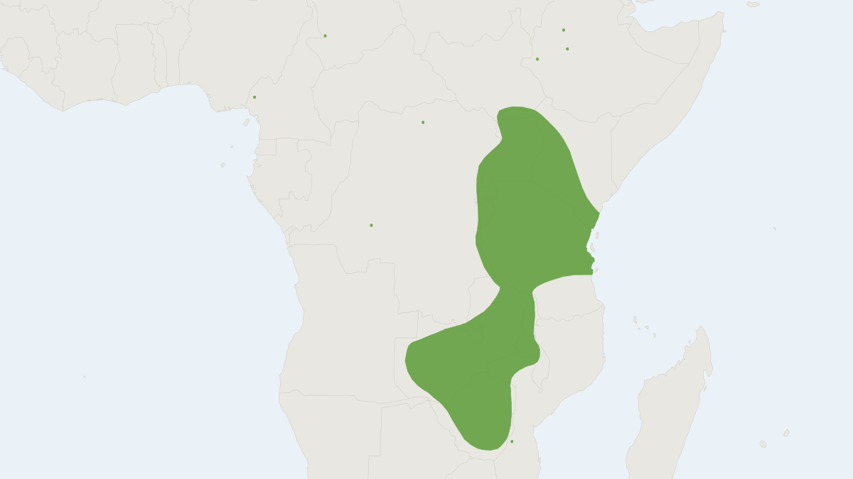 Range map of the Lesser Cane Rat (Thryonomys gregorianus)