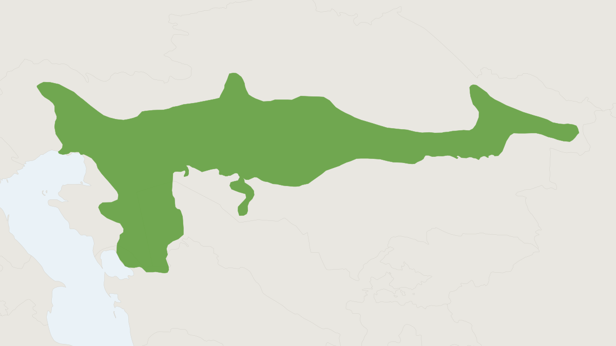 Range map of the Lesser Fat-tailed Jerboa (Pygeretmus platyurus)