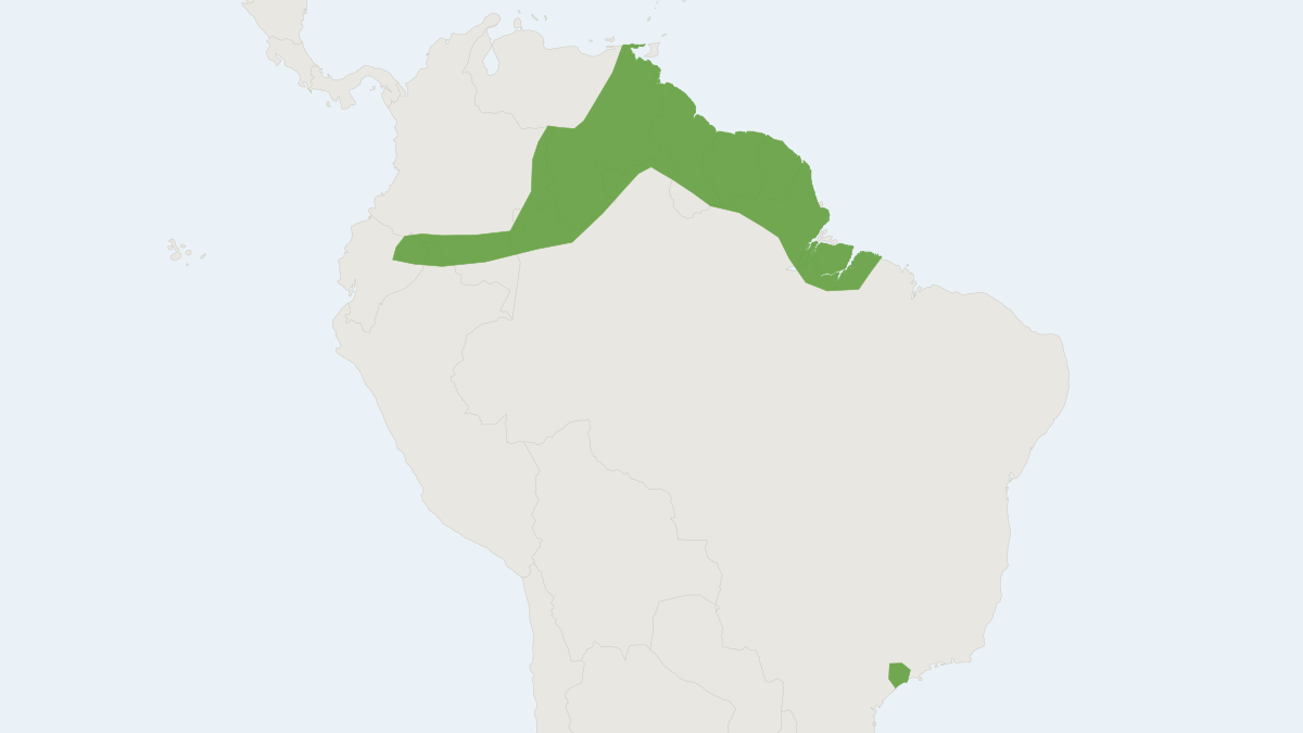 Range map of the Lesser Ghost Bat (Diclidurus scutatus)