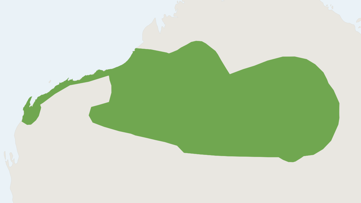 Range map of the Lesser Hairy-footed Dunnart (Sminthopsis youngsoni)