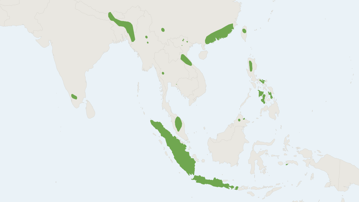 Range map of the Lesser Hairy-winged Bat (Harpiocephalus harpia)