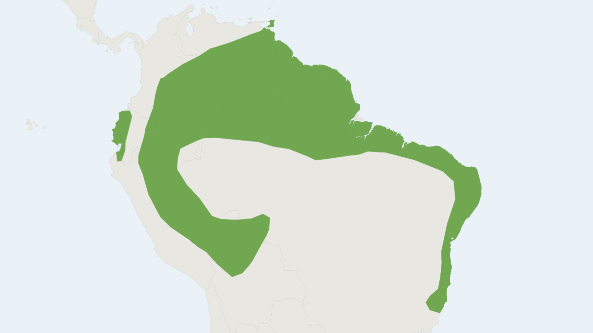 Range map of the Lesser Long-tailed Bat (Choeroniscus minor) covering Bolivia, Brazil and Colombia