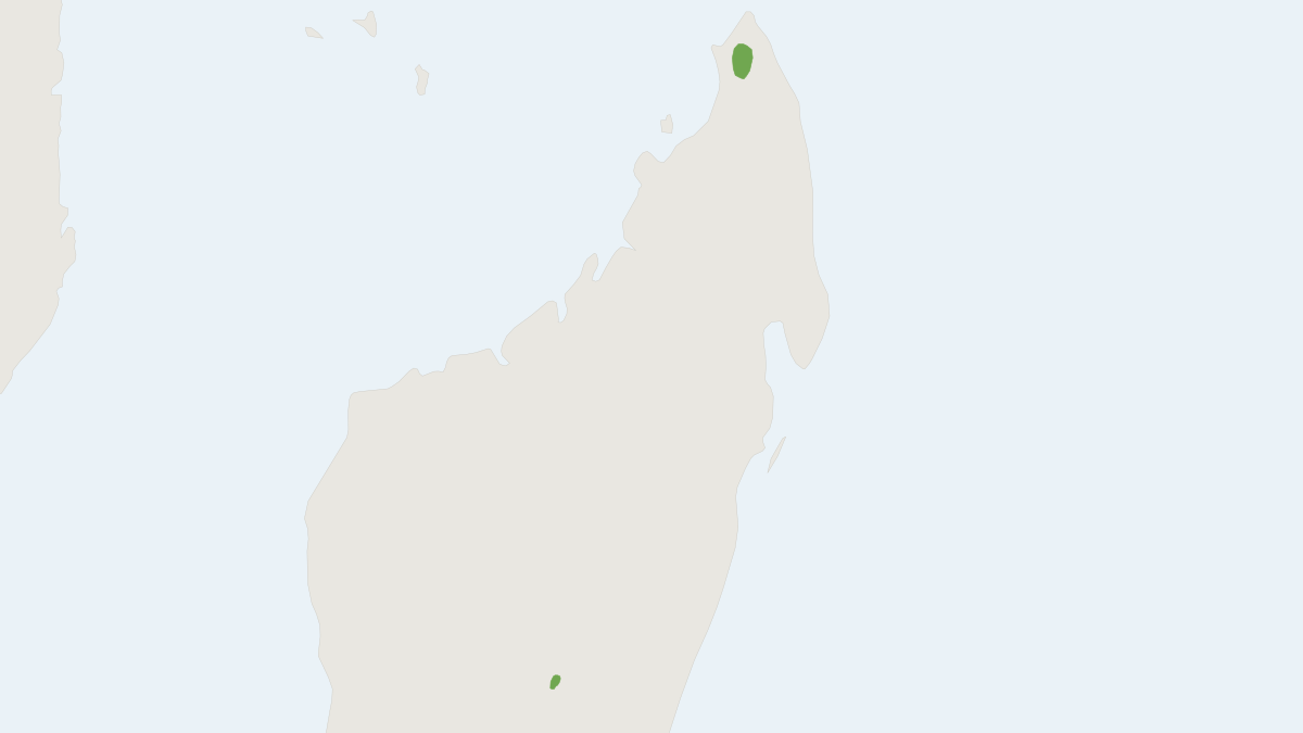 Range map of the Lesser Long-tailed Shrew Tenrec (Microgale longicaudata)