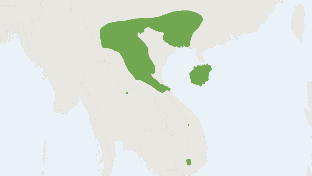 Range map of the Lesser Marmoset Rat (Hapalomys delacouri)