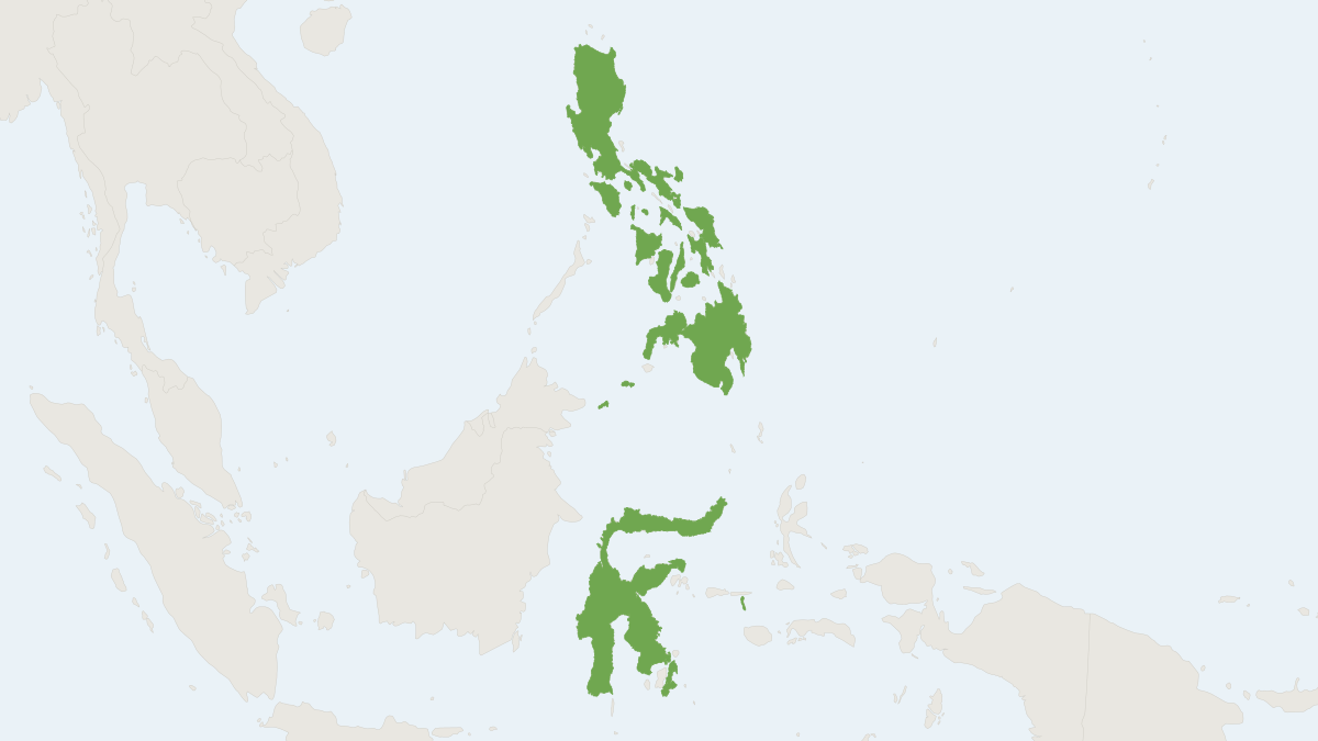 Range map of the Lesser Naked Bat (Cheiromeles parvidens) covering Indonesia and Philippines