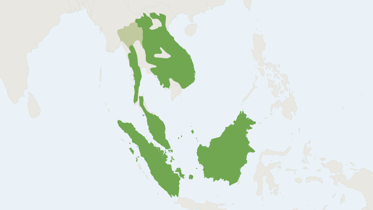 Range map of the Lesser Oriental Chevrotain (Tragulus kanchil)