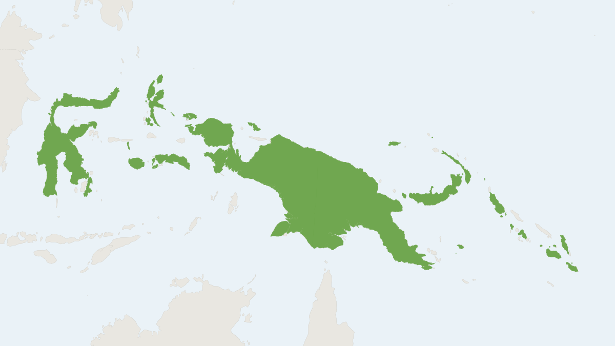 Range map of the Lesser Sheath-tailed Bat (Mosia nigrescens)