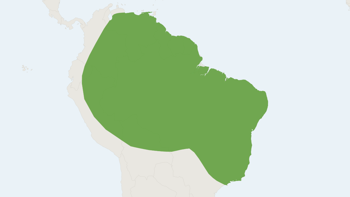 Range map of the Lesser Spear-nosed Bat (Phyllostomus elongatus)