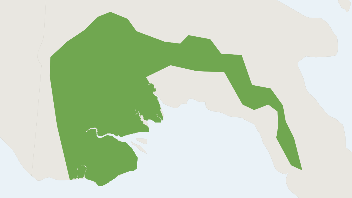 Range map of the Lesser Tree Mouse (Chiruromys vates) covering Indonesia and Papua New Guinea