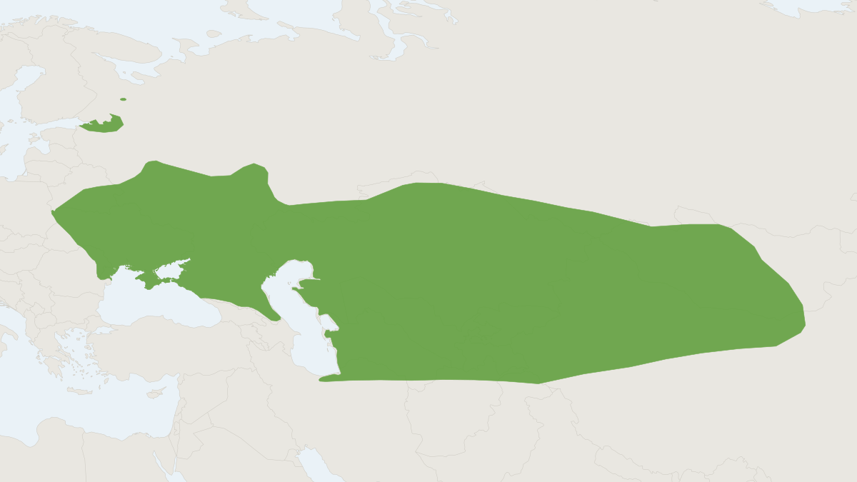 Range map of the Lesser White-toothed Shrew (Crocidura suaveolens)