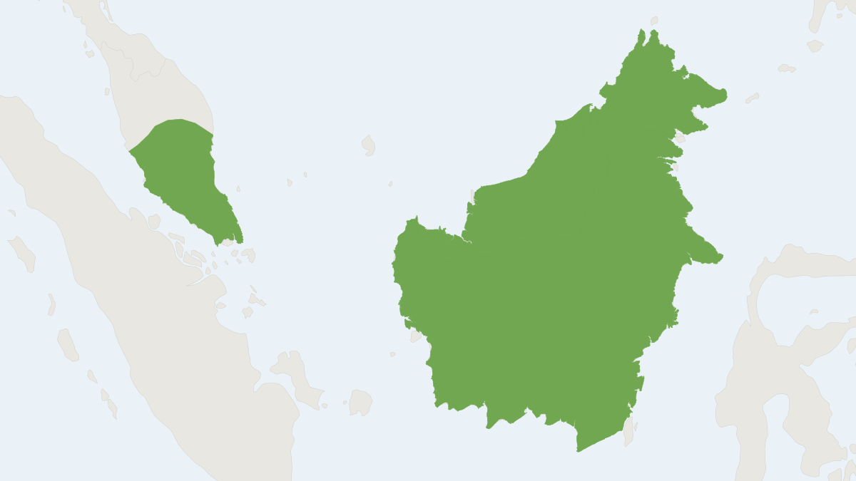 Range map of the Lesser Wooly Horseshoe Bat (Rhinolophus sedulus)