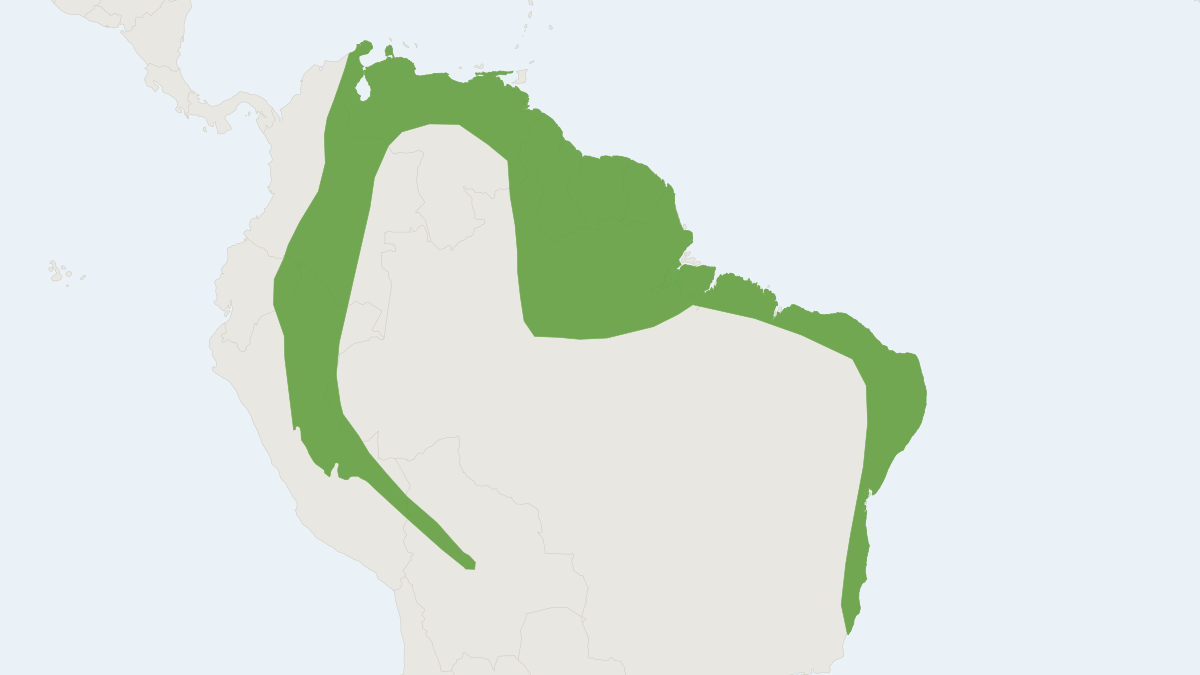 Range map of the Lichonycteris degener (Lichonycteris degener)