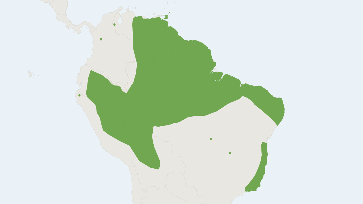 Range map of the Linnaeus's Mouse Opossum (Marmosa murina)