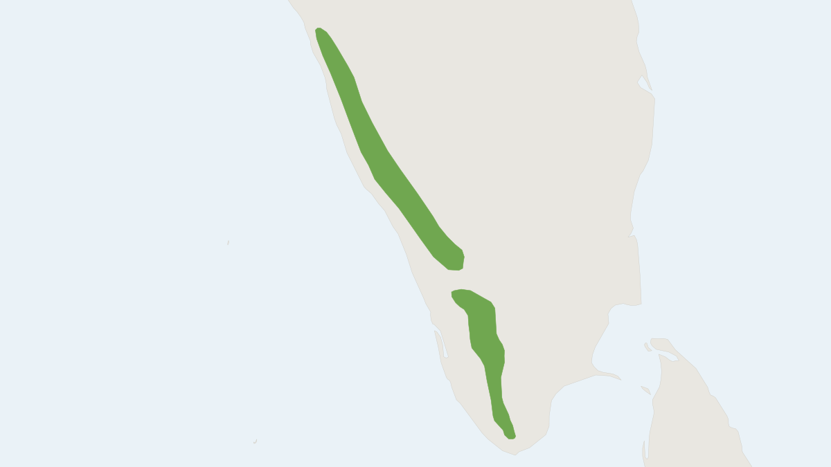 Range map of the Lion-tailed Macaque (Macaca silenus)
