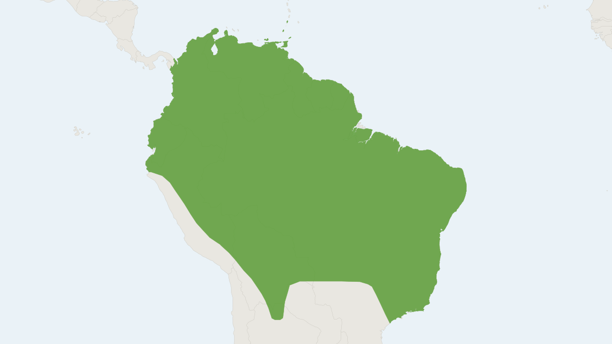 Range map of the Little Big-eared Bat (Micronycteris megalotis)