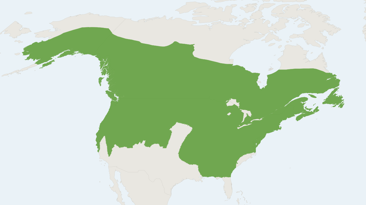 Range map of the Little Brown Bat (Myotis lucifugus)