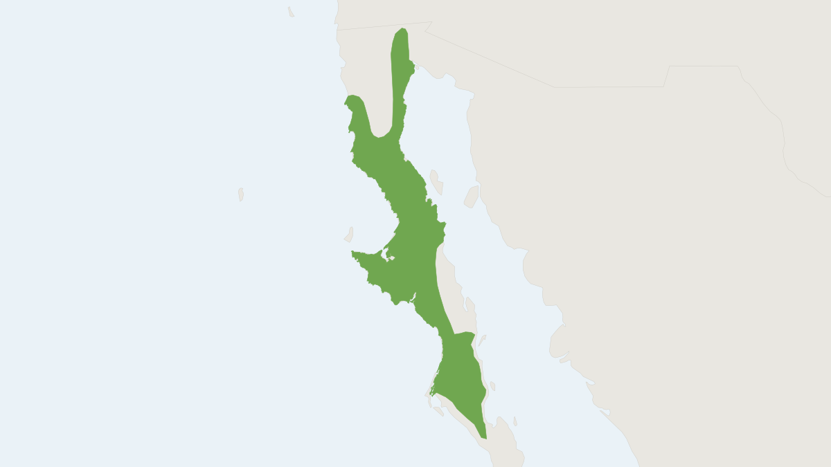 Range map of the Little Desert Pocket Mouse (Chaetodipus arenarius)