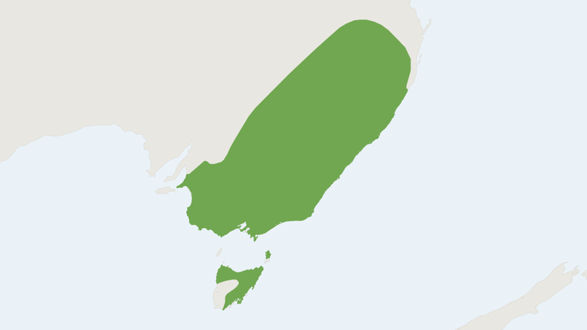 Range map of the Little Forest Bat (Vespadelus vulturnus)
