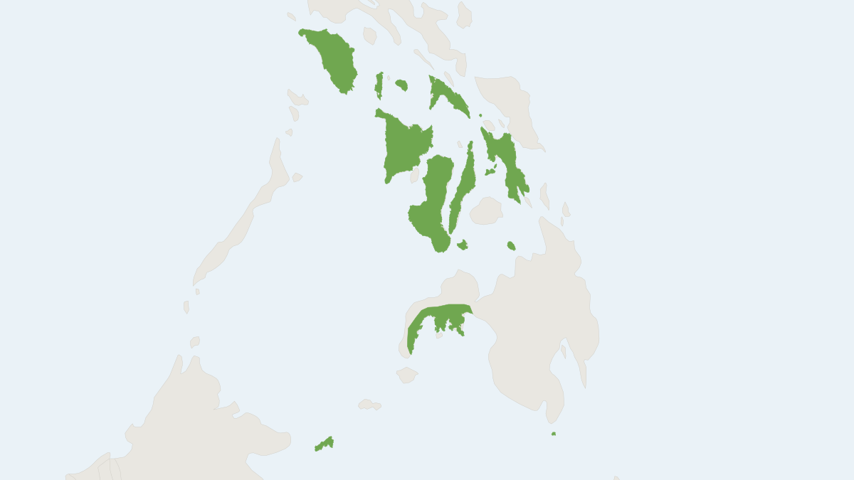 Range map of the Little Golden-mantled Flying Fox (Pteropus pumilus)