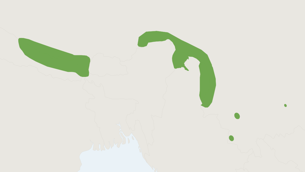 Range map of the Little Himalayan Rat (Niviventer eha)