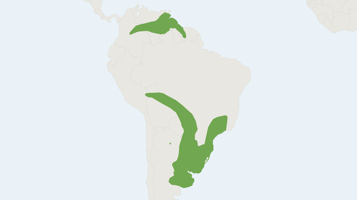 Range map of the Little Water Opossum (Lutreolina crassicaudata)
