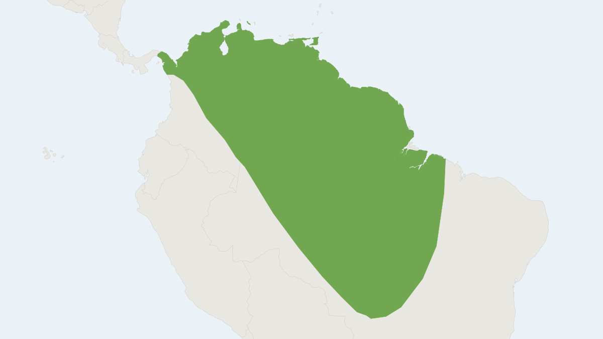 Range map of the Little White-shouldered Bat (Ametrida centurio) covering Bolivia, Brazil and Colombia