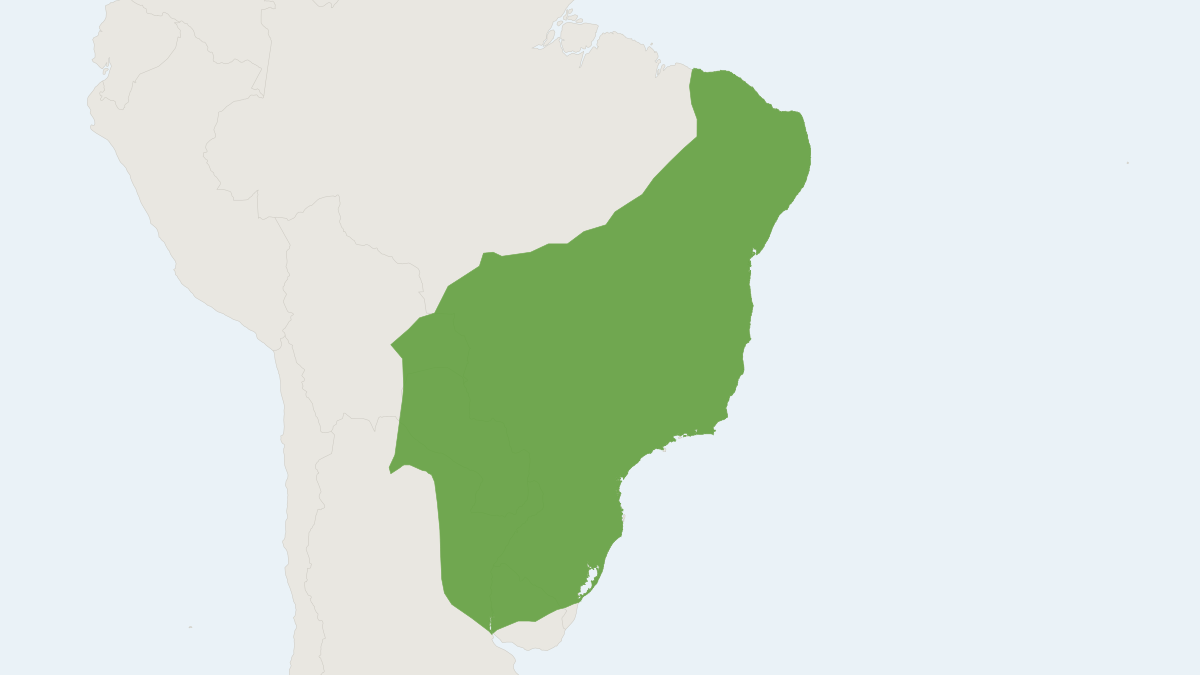 Range map of the Little Yellow-shouldered Bat (Sturnira lilium)