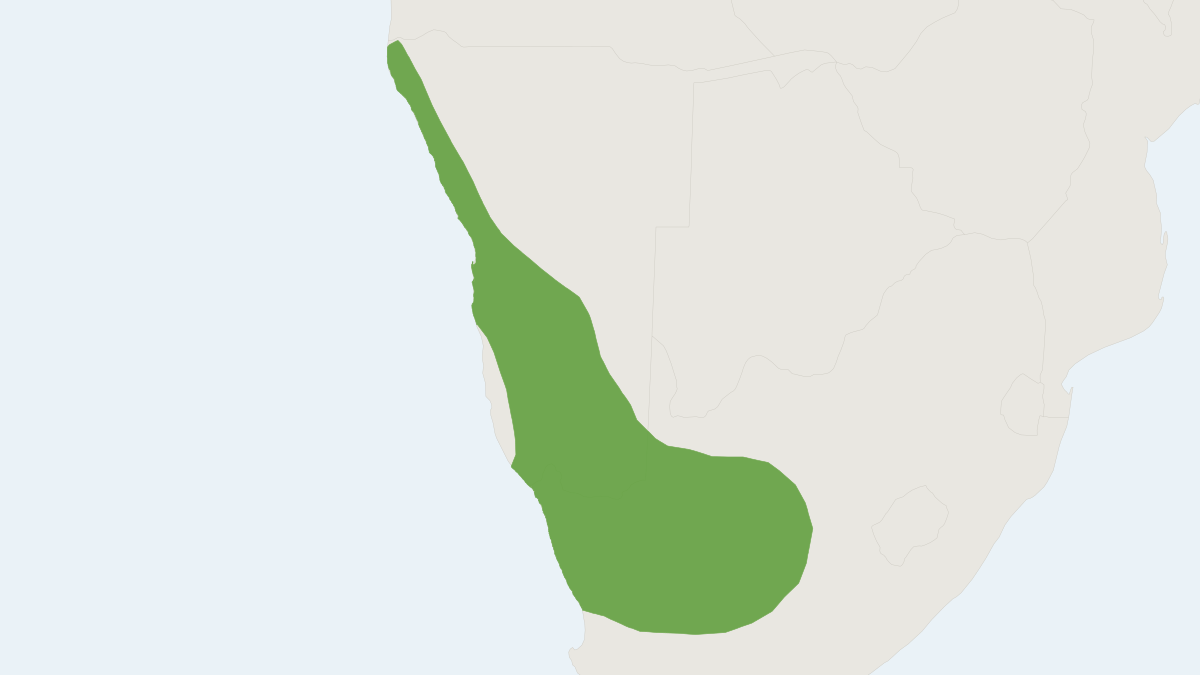 Range map of the Littledale's Whistling Rat (Parotomys littledalei)