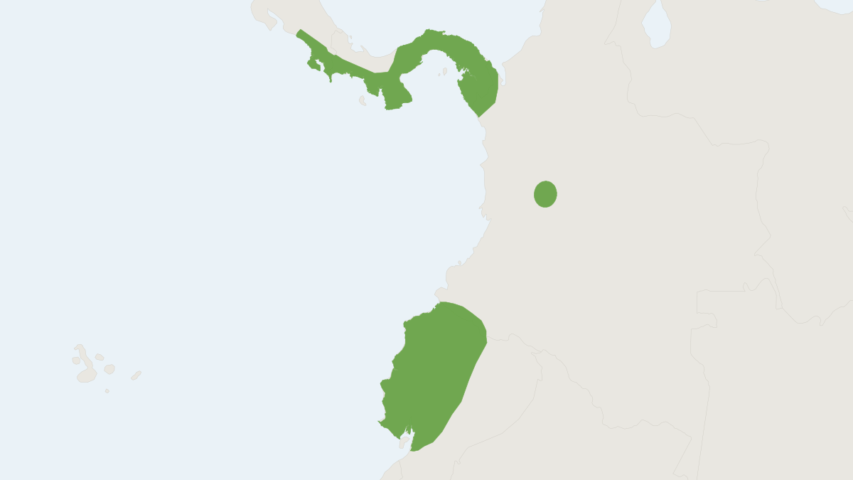Range map of the Lonchophylla concava (Lonchophylla concava)