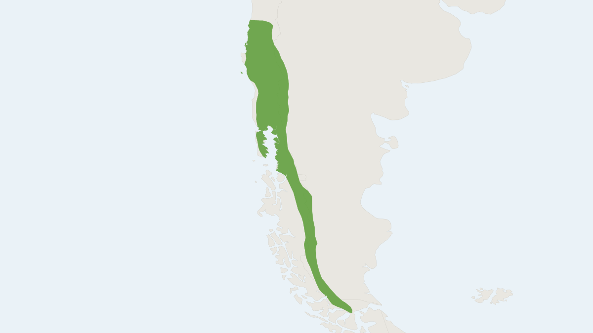 Range map of the Long-clawed Mole Mouse (Geoxus valdivianus)