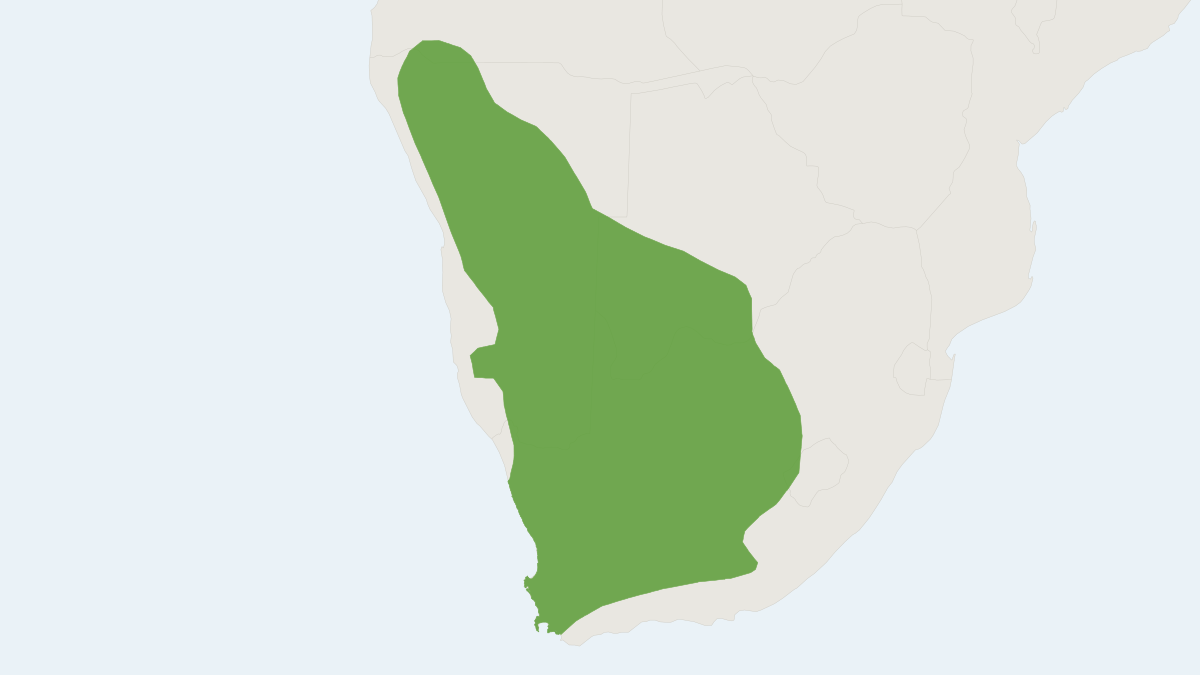 Range map of the Long-eared Desert Mouse (Malacothrix typica)