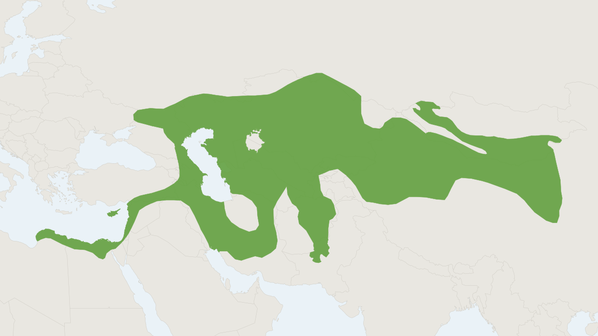 Range map of the Long-eared Hedgehog (Hemiechinus auritus)