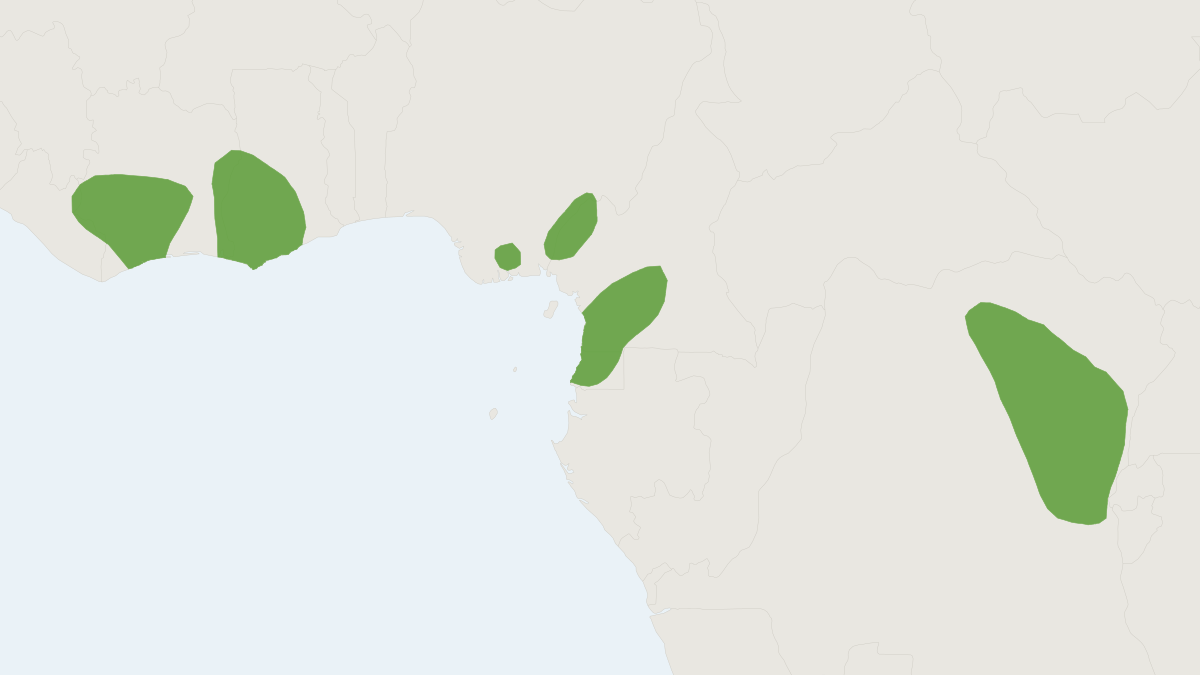 Range map of the Long-eared Scaly-tailed Flying Squirrel (Idiurus macrotis)