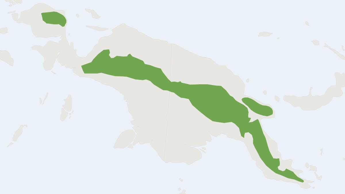 Range map of the Long-fingered Striped Possum (Dactylopsila palpator)