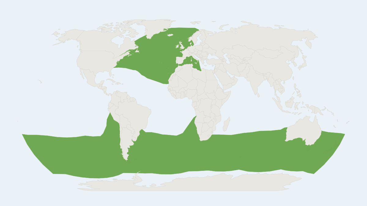 Range map of the Long-finned Pilot Whale (Globicephala melas)