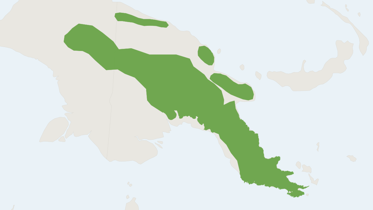 Range map of the Long-footed Tree Mouse (Lorentzimys nouhuysi)