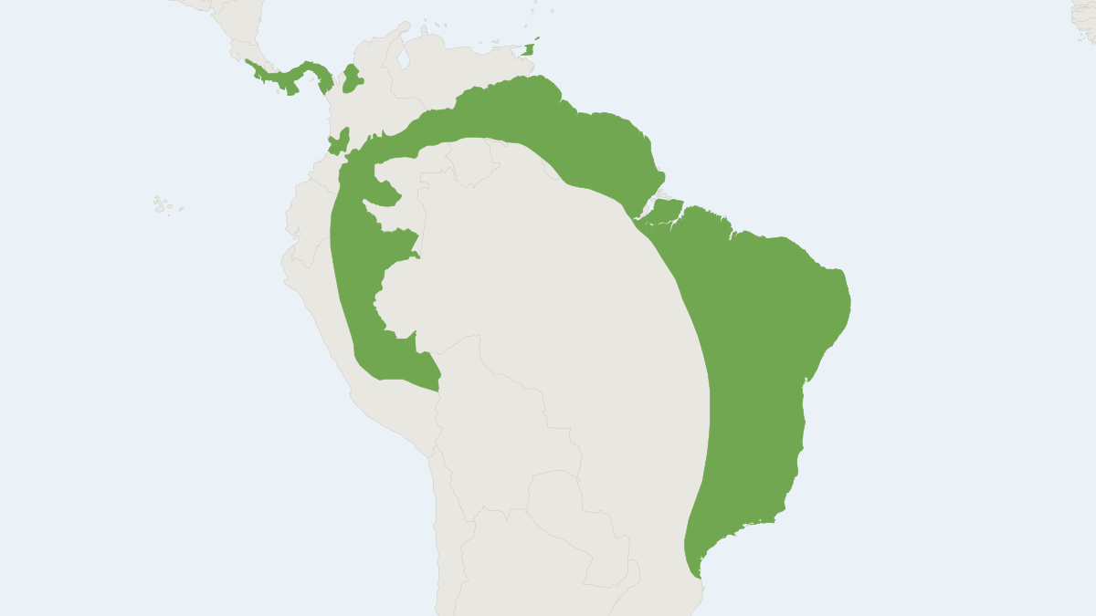 Range map of the Long-furred Rice Rat (Oecomys trinitatis)