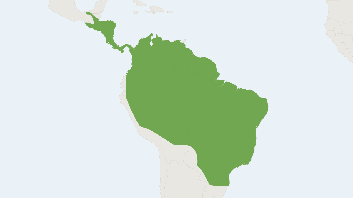Range map of the Long-legged Bat (Macrophyllum macrophyllum)